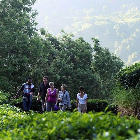 Shamrock Holiday Home Munnar Exterior foto