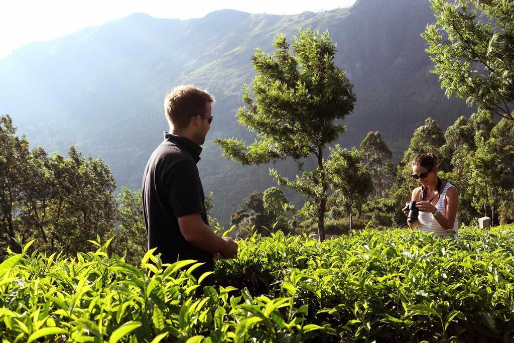 Shamrock Holiday Home Munnar Exterior foto