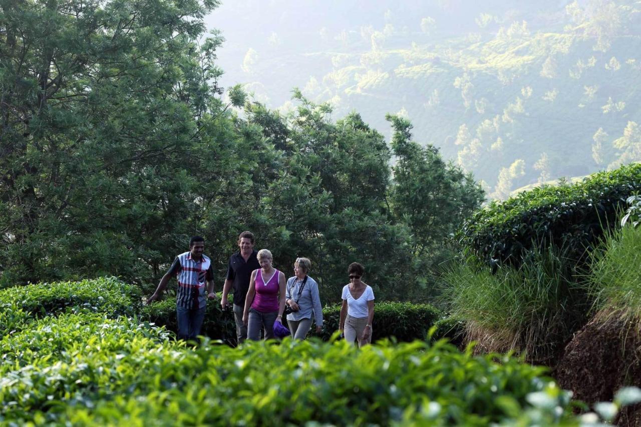 Shamrock Holiday Home Munnar Exterior foto